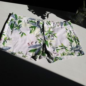 Plus Tropical Palm Leaf Print Twill Shorts
